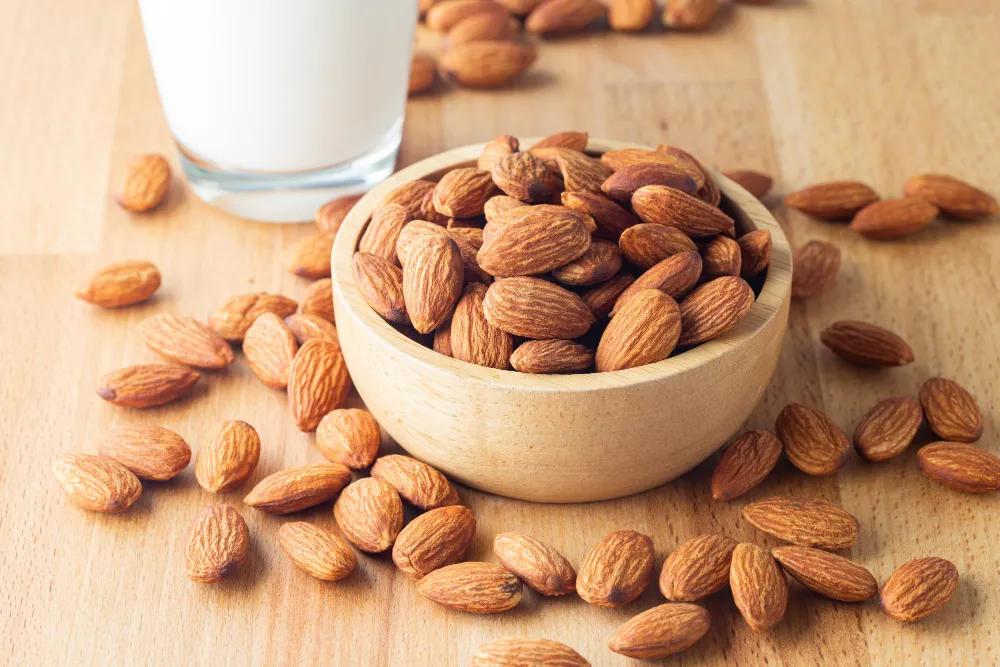 Bitkisel Protein Nedir?
