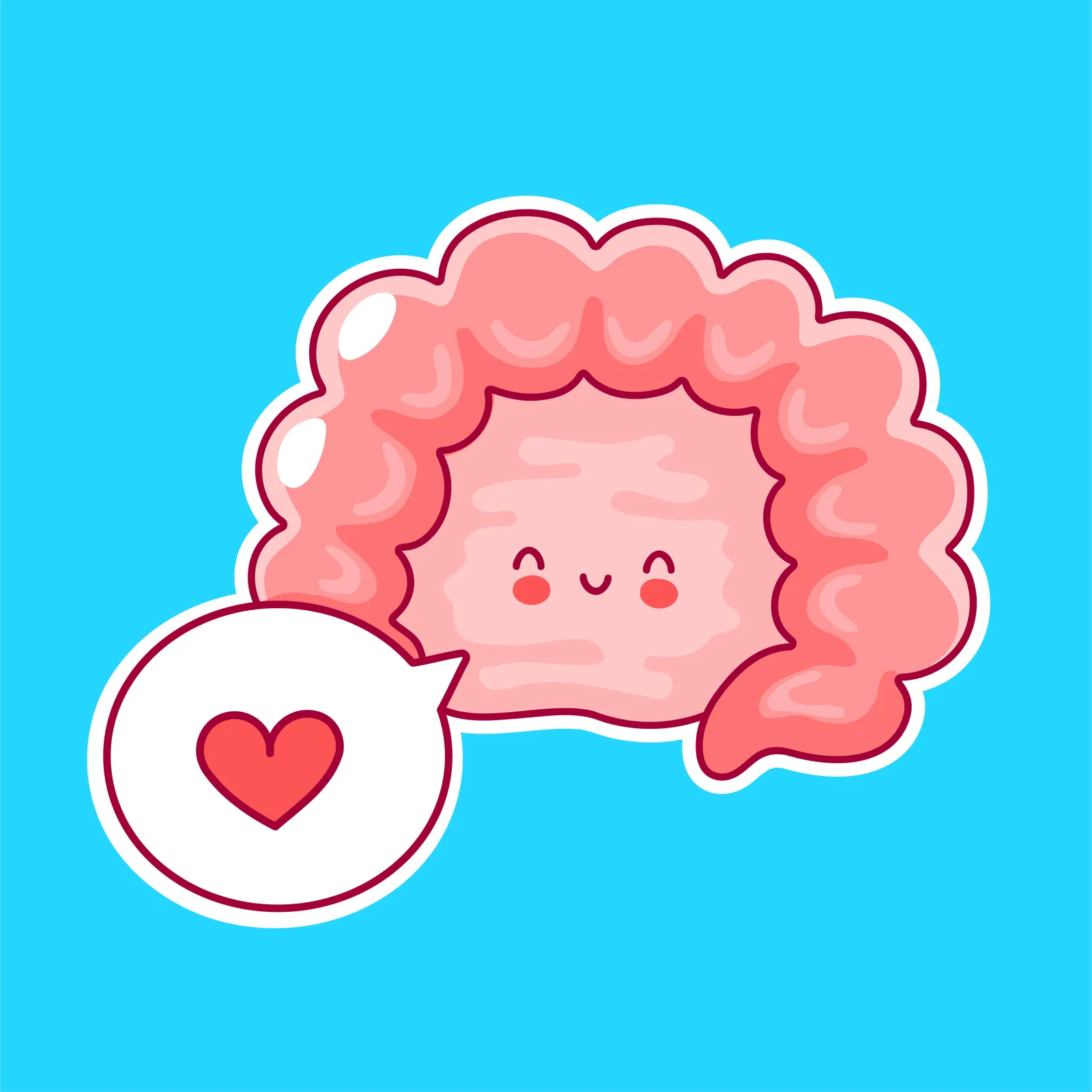 Bağırsak Sağlığı Nasıl Korunur? Etkili ve Bilimsel Yöntemler