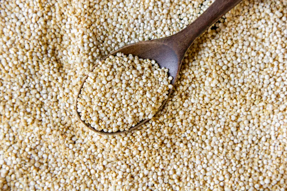 Diyete Uygun Bitkisel Protein Kaynakları