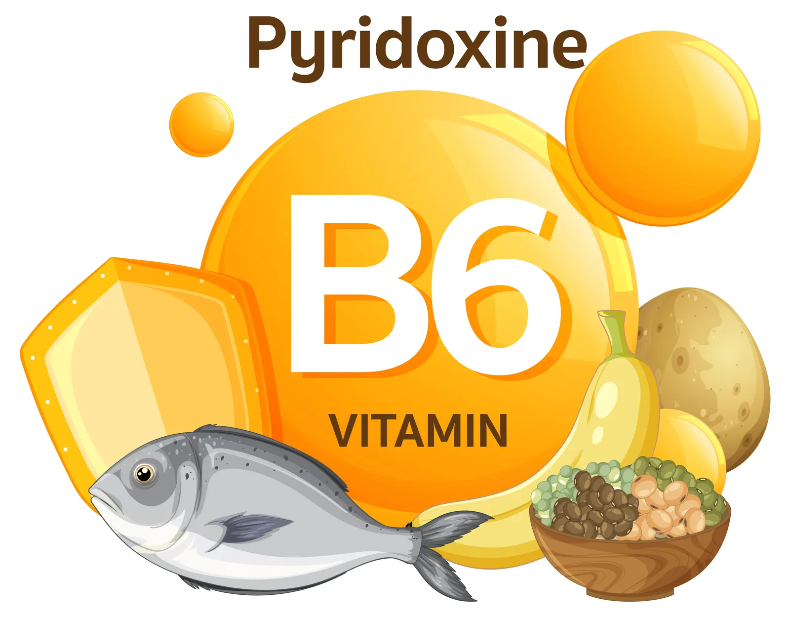 B6 Vitamini