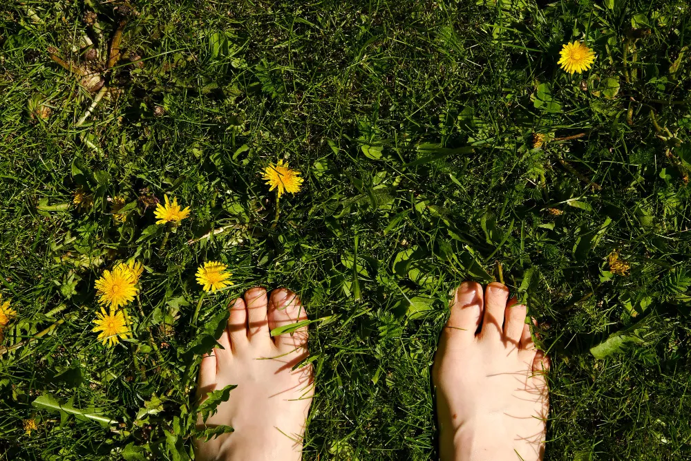 blog görseli