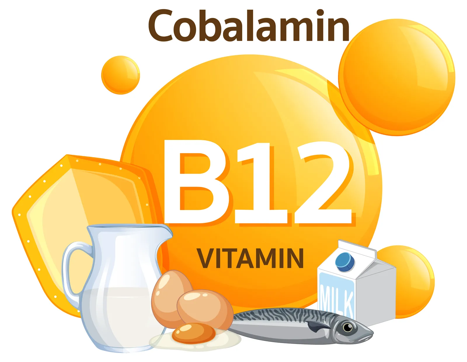 B12 Vitamini
