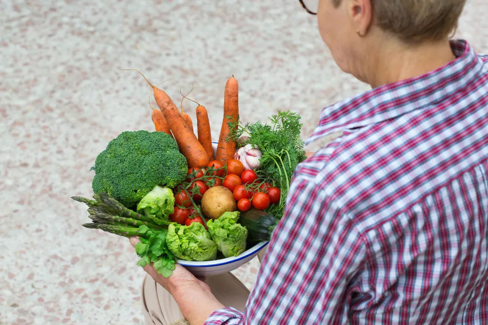 Organik Gıda Nedir? Faydaları Nelerdir? Sağlıklı Beslenme Rehberi